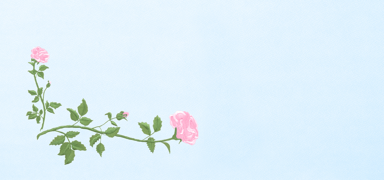 Corner Rose Pink Blue Faux